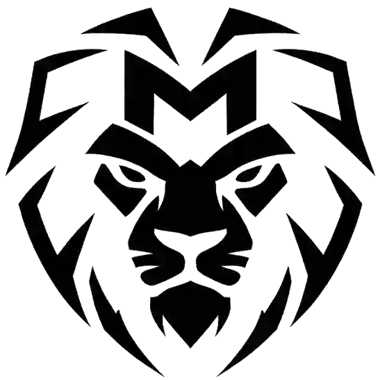 Lionys logo